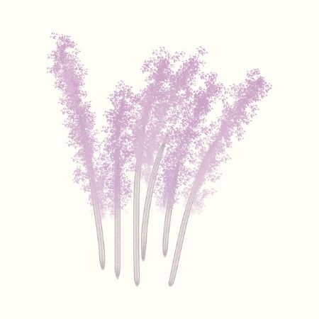 Pháo hoa, ảnh pháo hoa, Firework 130